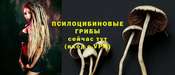 метадон Медногорск