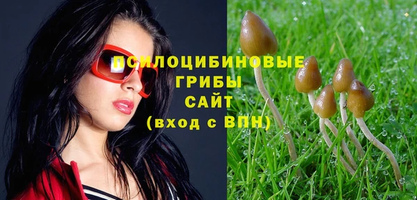 PSILOCYBIN Медвежьегорск