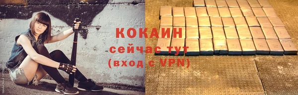 PSILOCYBIN Медвежьегорск