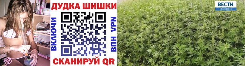 где найти наркотики  Долинск  Каннабис индика 